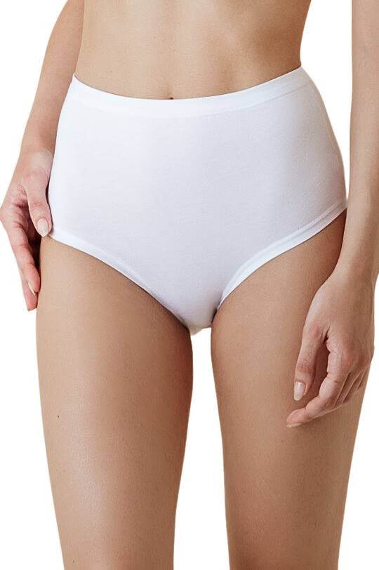 Women’s plus size stretch cotton briefs by Marc Luis, high-waist comfort fit, six-pack with soft, breathable fabric and supportive design.